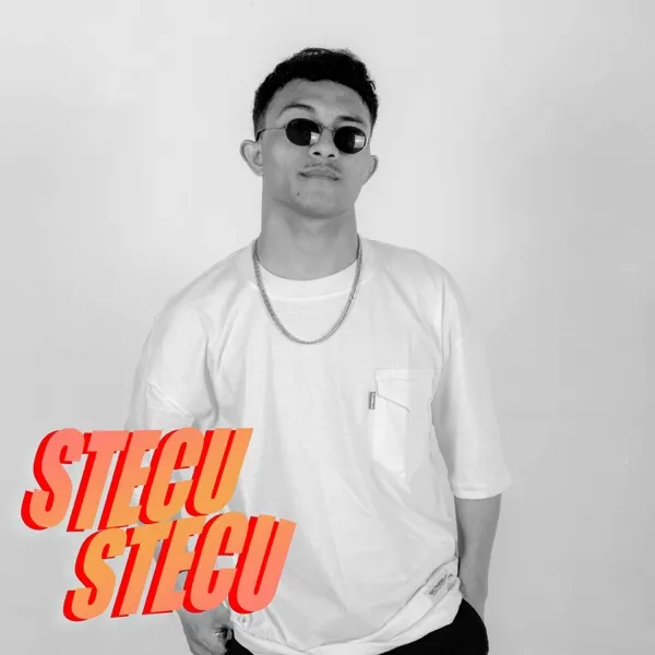 Cover album lagu Stecu Stecu murni